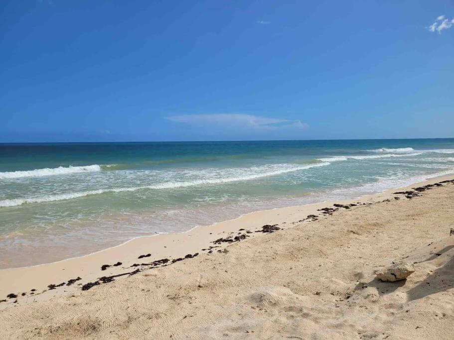 Luxury 5-Br Beachfront Home In Tulum Casa Sofia Gato Exterior photo